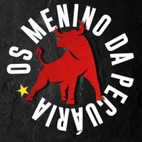 os_meninos_da_pecuaria_