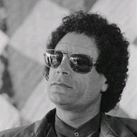 gabala78
