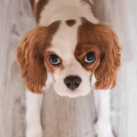 original sound - user2661226399261