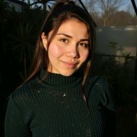 greciapalmasaurom