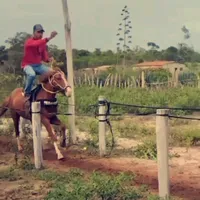 original sound - williambonifacio8