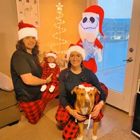 original sound - danicobo.a