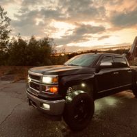 scooby5.338