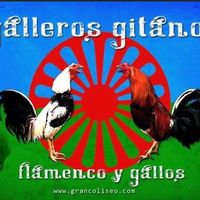 losgallos26