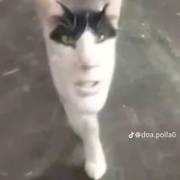 original sound - _.d414n4