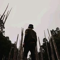 suara asli - notname