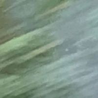 Bʟᴇssᴜᴘᴛʜᴇᴡᴀʏʏᴏᴜʀᴡᴀʏ