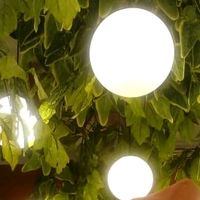 suara asli - Naifah Azzahra