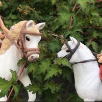 s.c.l.e.i.c.h.h.o.r.s.e