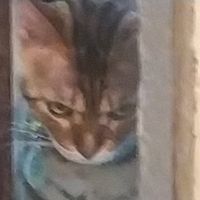 julycat32