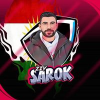 ziv.sarok