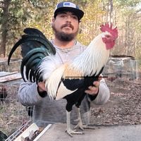 graveyardgamefarm