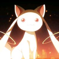 a.kitty.c