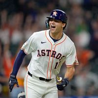 your_average_houston_fan