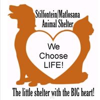 matlosanaanimalshelter