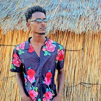 الصوت الأصلي