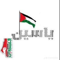 yassinezaki3