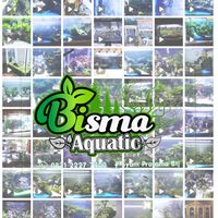 bisma_aquatic