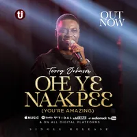 original sound - terryjohnson_official