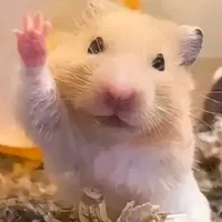 original sound - soloyeny_