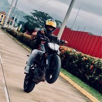 avich24