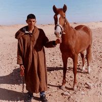 marounhouf