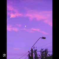lis_bazan