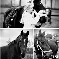 equi_cindy2