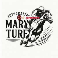 mari_turf