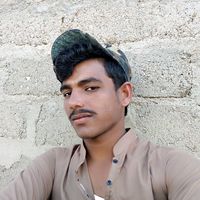 babrpala10