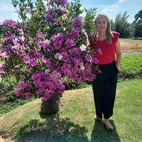 terezinhamachado2865