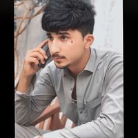 shaikhanking