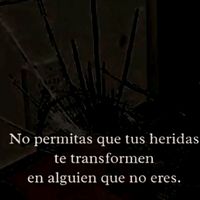 hola23.31