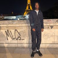 ysl_ibra