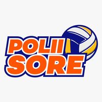 suara asli - POLIISOREE