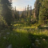 _new.nature_