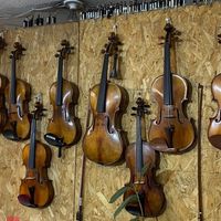 unviolinistamas