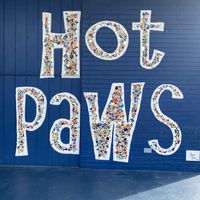 hotpawspetresort