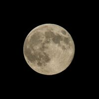 lepetitlune01