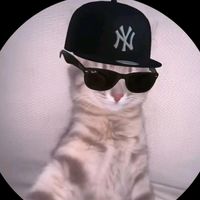 mipapi.7274741301123