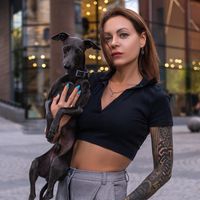 my_little_shark_kennel