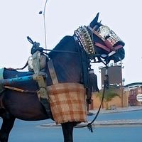 soraboumalaw
