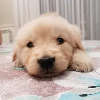 ecco come appare lamore_wandamaya