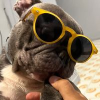 gennyilbullo