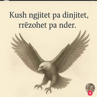 mbyll592