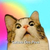 gatuxodospovs_ofc