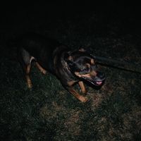 Yearn the Frustration