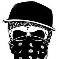 original sound - f.a_guacho