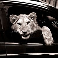 оригинальный звук