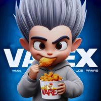 varex_oficial